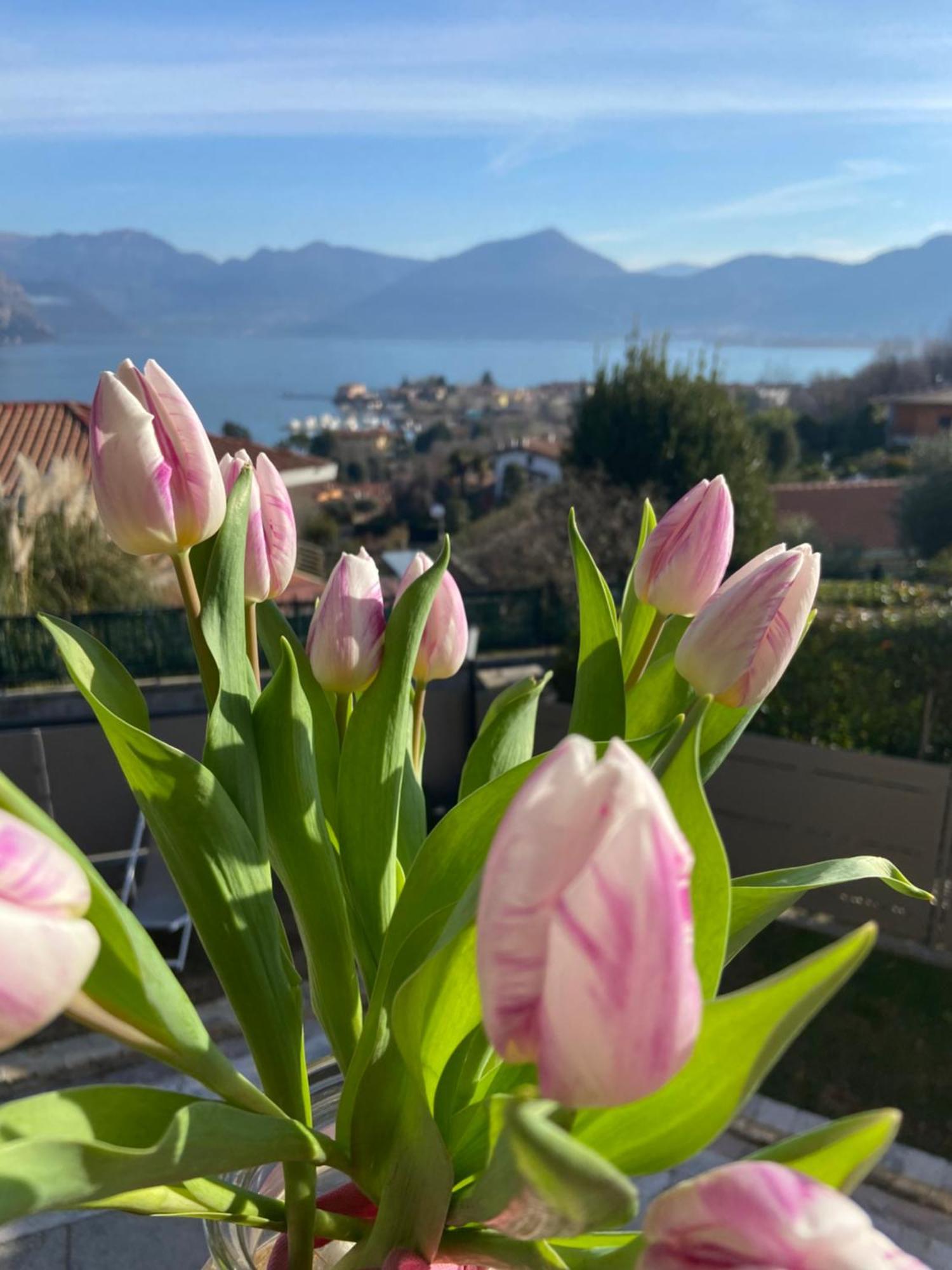 B&B Panorama Iseo Dış mekan fotoğraf